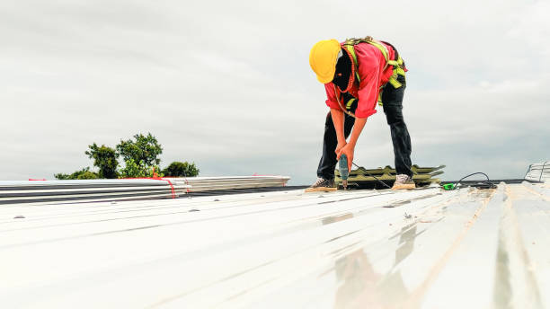 Reliable Forney, TX  Roofing repair and installation Solutions